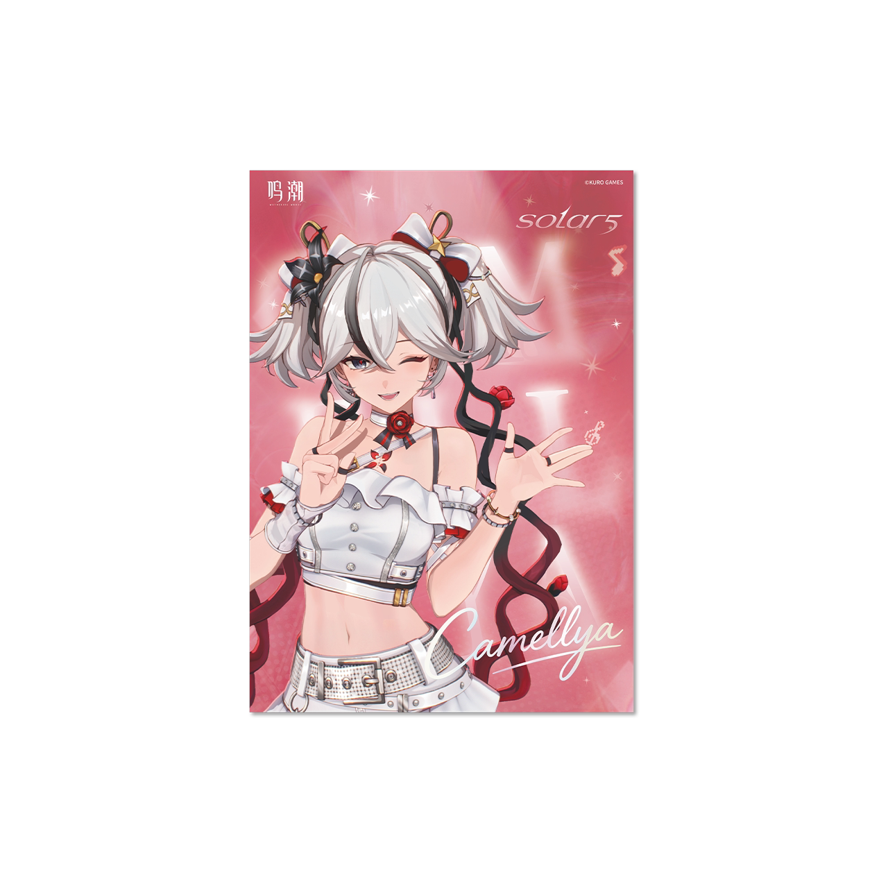 [Pre-Order] Solar5 Theme PP Poster | Wuthering Waves (Within 200 Days)
